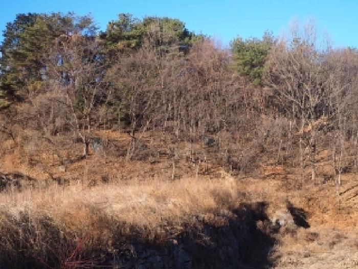 경남 밀양시 단장면 임야 경매 물건 사진 3 · 2026타경155