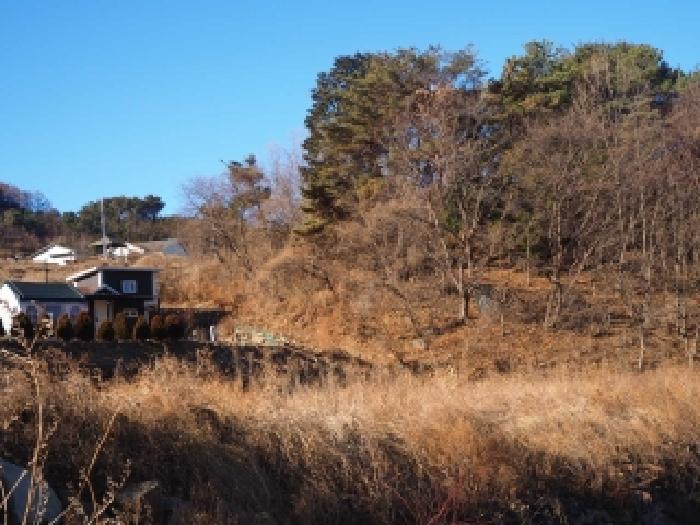 경남 밀양시 단장면 임야 경매 물건 사진 4 · 2026타경155