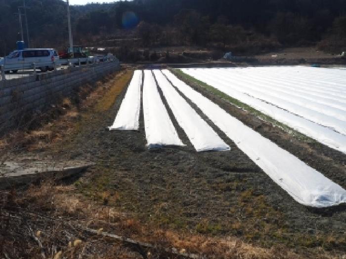 경남 창녕군 장마면 전답 경매 물건 사진