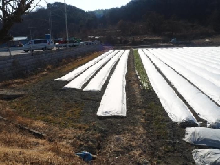 경남 창녕군 장마면 전답 경매 물건 사진 3 · 2026타경230
