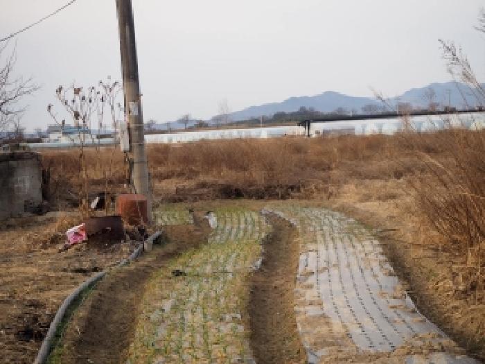 경남 밀양시 하남읍 전답 경매 물건 사진 5 · 2026타경25