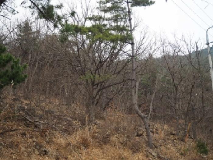 경남 밀양시 삼랑진읍 임야 경매 물건 사진 3 · 2026타경322