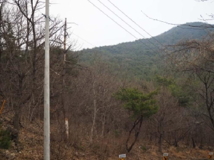 경남 밀양시 삼랑진읍 임야 경매 물건 사진 4 · 2026타경322