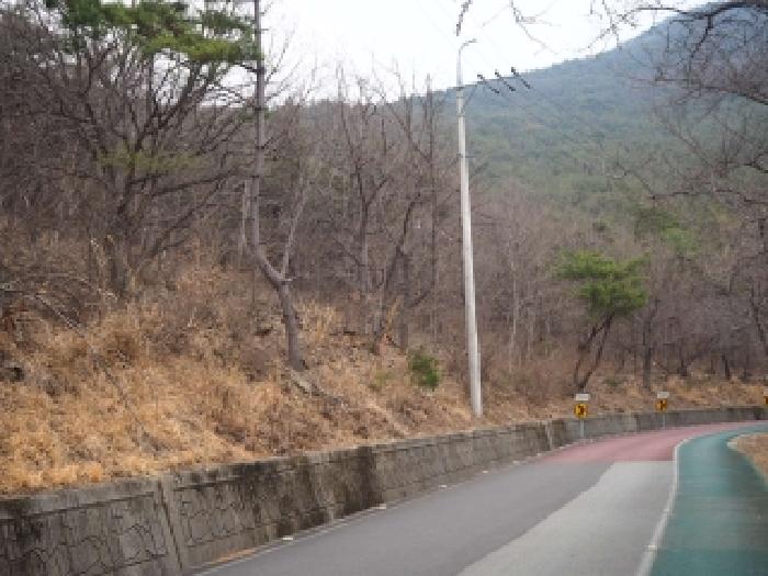 경남 밀양시 삼랑진읍 임야 경매 물건 사진