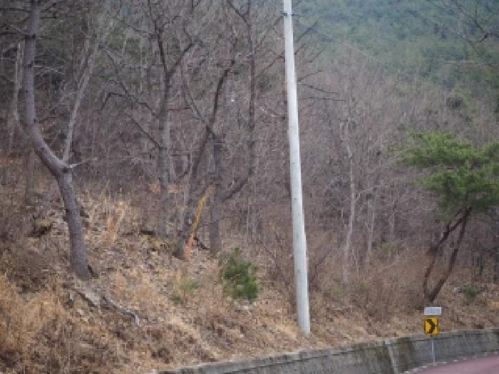 경남 밀양시 삼랑진읍 임야 경매 물건 사진 2 · 2026타경322