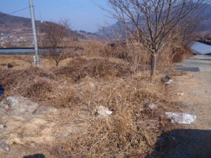 경남 밀양시 단장면 답 경매 물건 사진 6 · 2026타경346