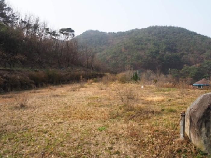 경남 밀양시 삼랑진읍 전답 경매 물건 사진 3 · 2026타경421