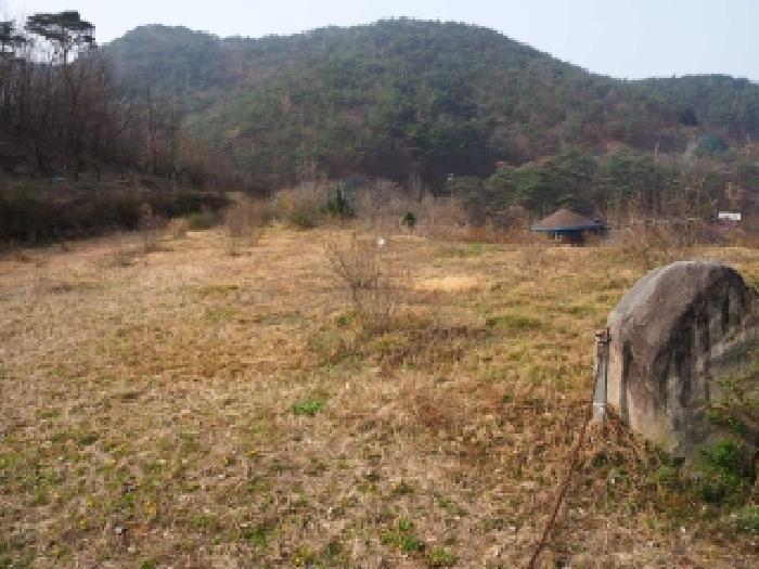 경남 밀양시 삼랑진읍 전답 경매 물건 사진 4 · 2026타경421