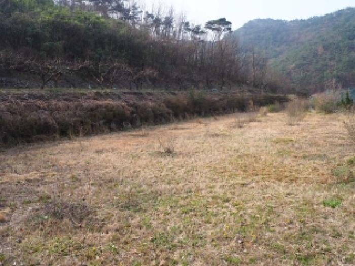 경남 밀양시 삼랑진읍 전답 경매 물건 사진 5 · 2026타경421