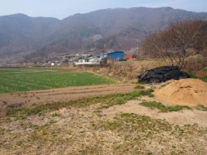 경남 밀양시 무안면 전답 경매 물건 사진