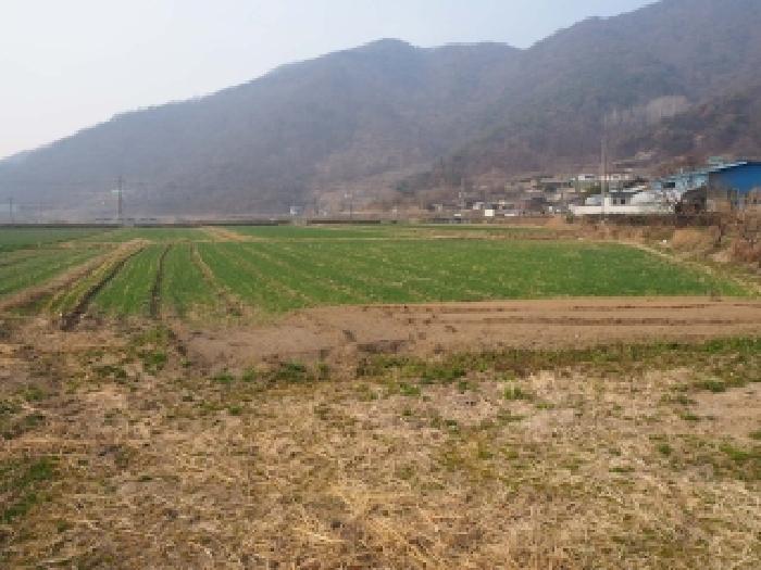 경남 밀양시 무안면 전답 경매 물건 사진 2 · 2026타경438