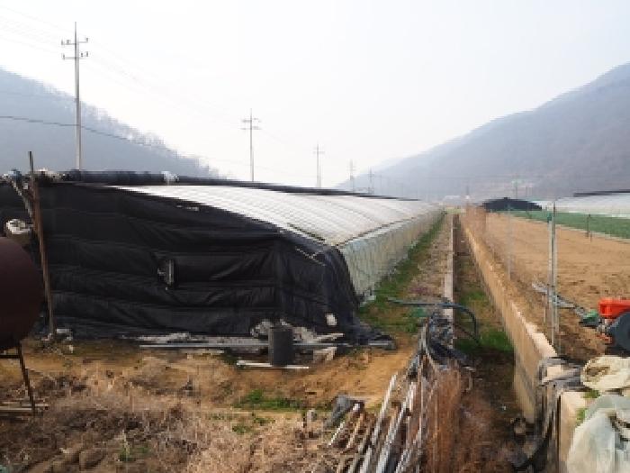 경남 밀양시 무안면 전답 경매 물건 사진 4 · 2026타경438