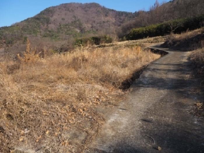 경남 밀양시 단장면 전 경매 물건 사진