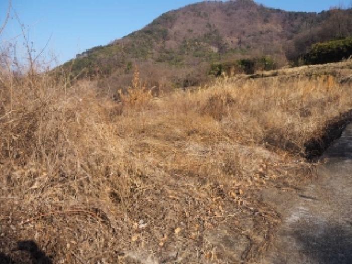 경남 밀양시 단장면 전 경매 물건 사진 2 · 2026타경70