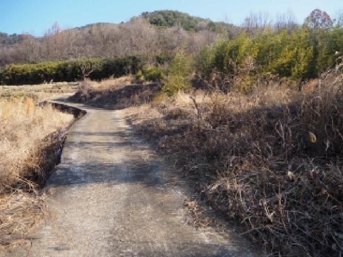 경남 밀양시 단장면 전 경매 물건 사진 3 · 2026타경70
