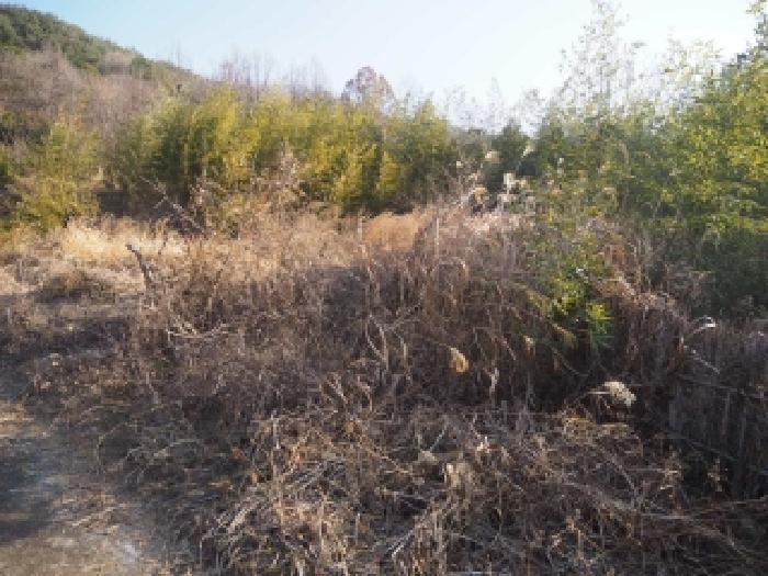 경남 밀양시 단장면 전 경매 물건 사진 4 · 2026타경70