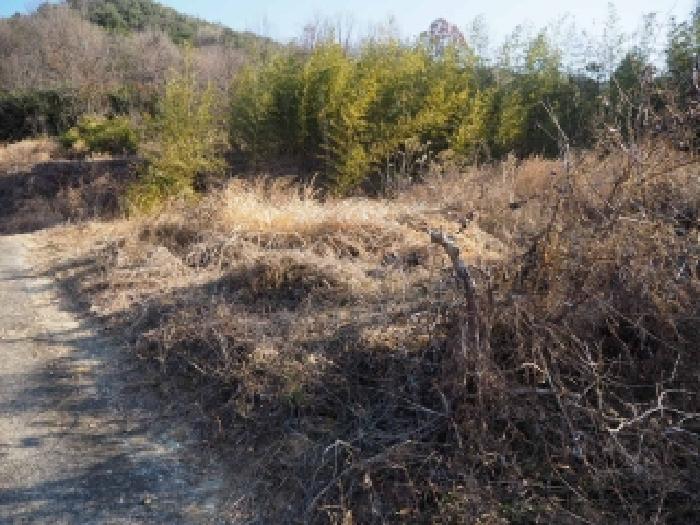 경남 밀양시 단장면 전 경매 물건 사진 6 · 2026타경70