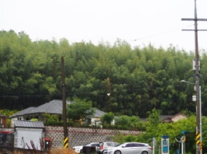 경남 밀양시 삼랑진읍 임야 경매 물건 사진