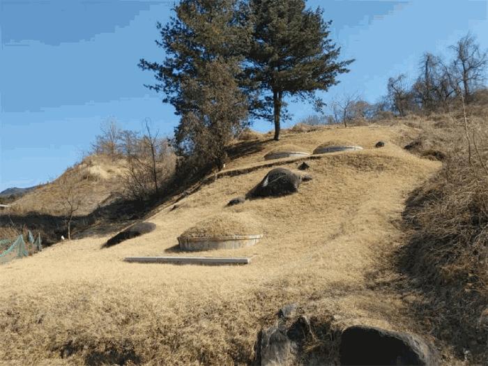 경상남도 합천군 묘산면 관기리 산85-3 답 경매 물건 사진