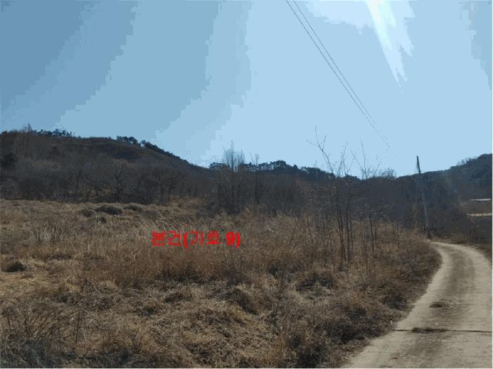 경남 합천군 묘산면 답 경매 물건 사진 3 · 2024타경601
