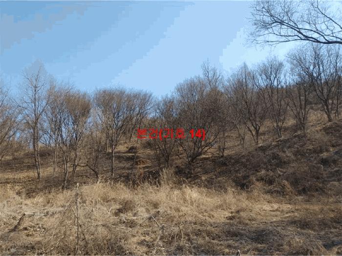 경남 합천군 묘산면 답 경매 물건 사진 5 · 2024타경601