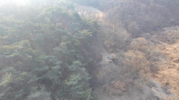 경남 합천군 야로면 답 경매 물건 사진 5 · 2025타경10170