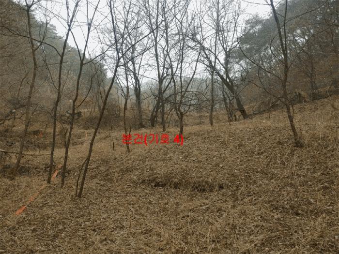 경남 합천군 야로면 답 경매 물건 사진 6 · 2025타경10170