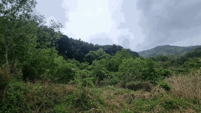 경남 함양군 마천면 대지,임야,전답 경매 물건 사진 6 · 2025타경10202