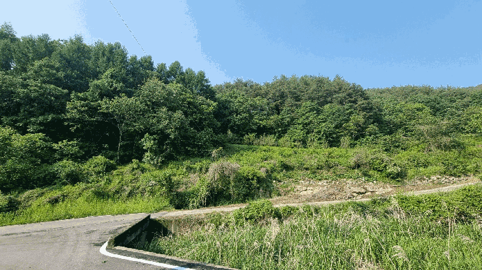 경남 거창군 가북면 전 경매 물건 사진 3 · 2025타경10228