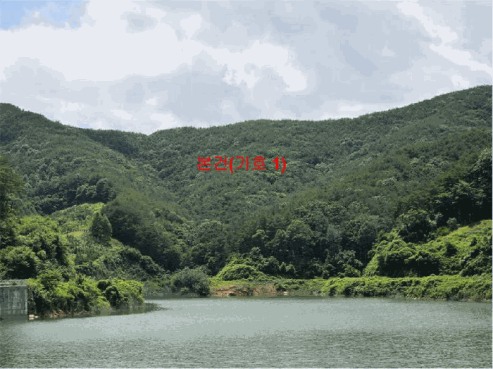 경남 합천군 삼가면 임야 경매 물건 사진 5 · 2025타경10236