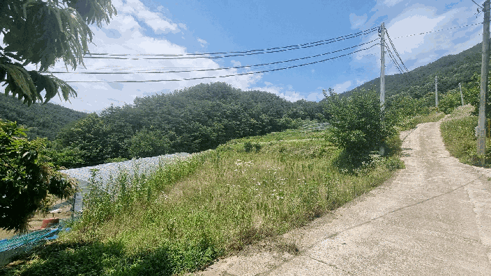 경남 합천군 봉산면 답 경매 물건 사진 3 · 2025타경10238
