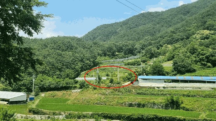 경남 합천군 봉산면 답 경매 물건 사진 4 · 2025타경10238