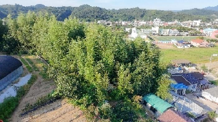 경남 합천군 삼가면 대지 경매 물건 사진 5 · 2025타경10244