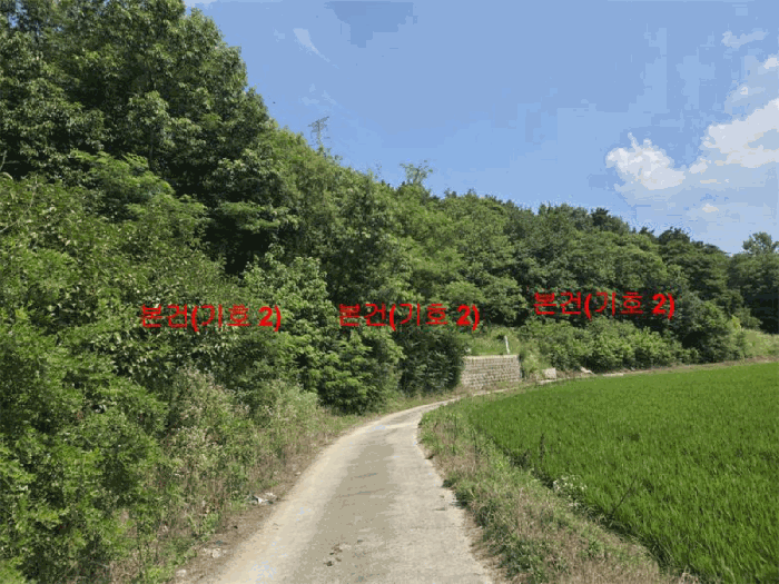 경남 함양군 지곡면 답 경매 물건 사진 6 · 2025타경10252