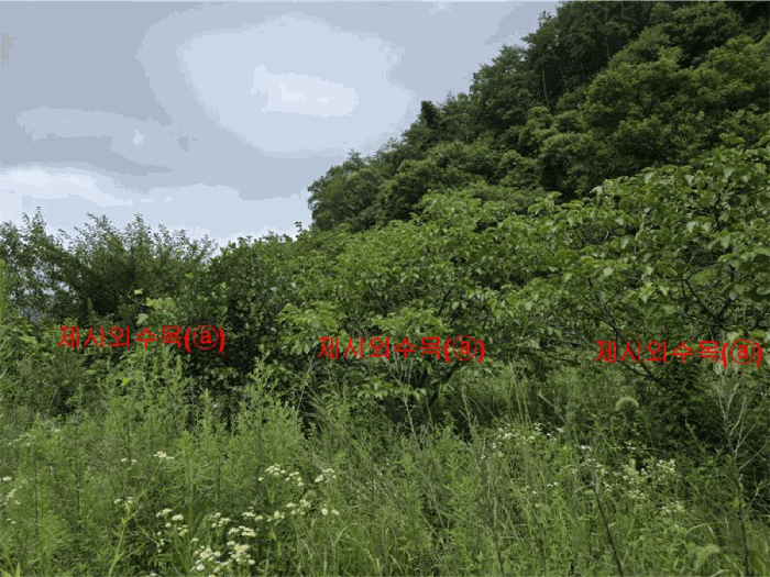 경남 합천군 대양면 전 경매 물건 사진 5 · 2025타경10259