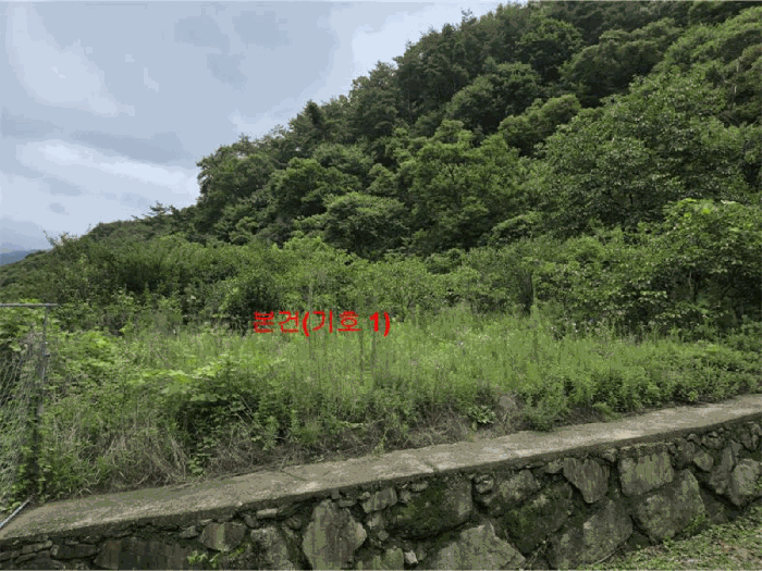 경남 합천군 대양면 전 경매 물건 사진 6 · 2025타경10259