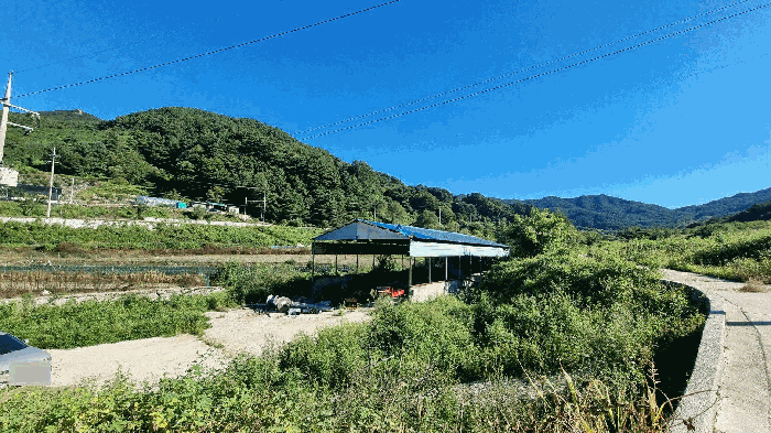 경남 거창군 가북면 동물및식물관련시설 경매 물건 사진 5 · 2025타경10312