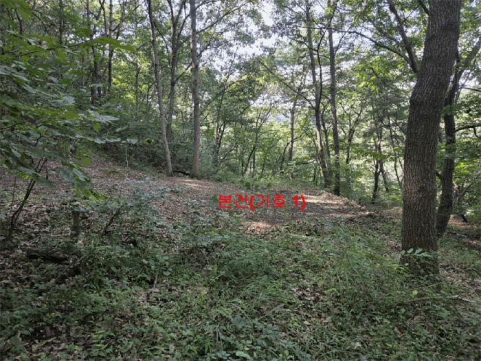 경남 합천군 청덕면 전 경매 물건 사진 5 · 2025타경10320
