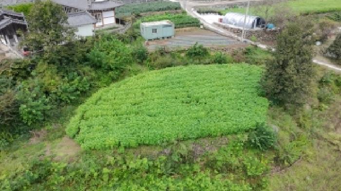 경남 함양군 휴천면 답 경매 물건 사진 5 · 2025타경10323