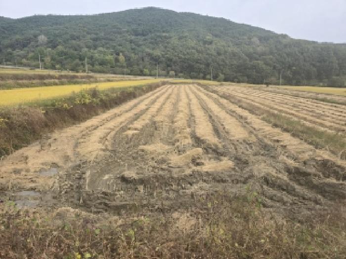 경남 합천군 가야면 전답 경매 물건 사진