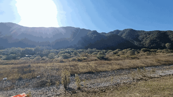 경남 합천군 봉산면 임야 경매 물건 사진 4 · 2025타경10345