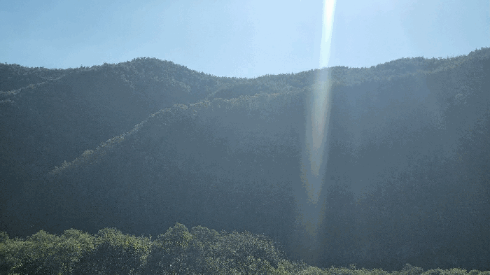경남 합천군 봉산면 임야 경매 물건 사진 5 · 2025타경10345
