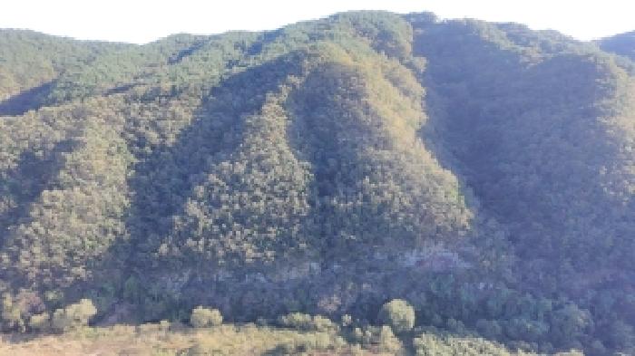 경남 합천군 봉산면 임야 경매 물건 사진 2 · 2025타경10345