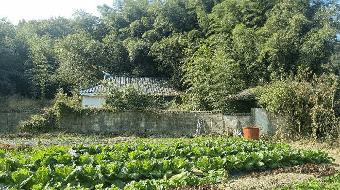 경남 함양군 지곡면 단독주택 경매 물건 사진 5 · 2025타경10356