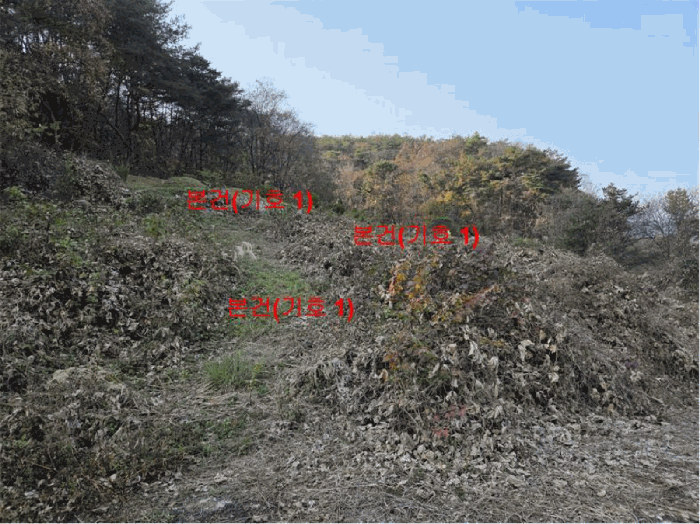 경남 합천군 덕곡면 임야 경매 물건 사진 6 · 2025타경10358