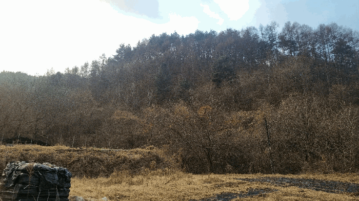 경남 거창군 가북면 전답 경매 물건 사진 2 · 2025타경10378