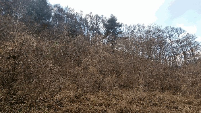 경남 거창군 가북면 전답 경매 물건 사진 4 · 2025타경10378