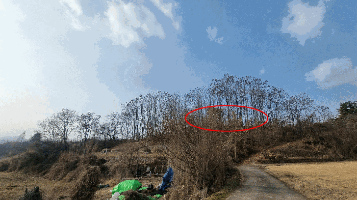 경남 함양군 함양읍 전답 경매 물건 사진 6 · 2025타경10383
