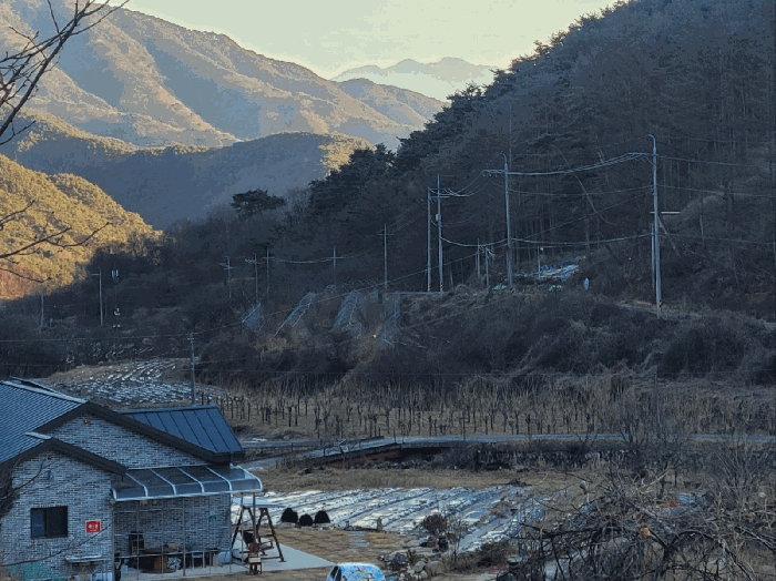 경남 함양군 백전면 전답 경매 물건 사진 2 · 2025타경10391