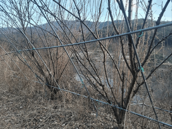 경남 함양군 백전면 전답 경매 물건 사진 5 · 2025타경10391